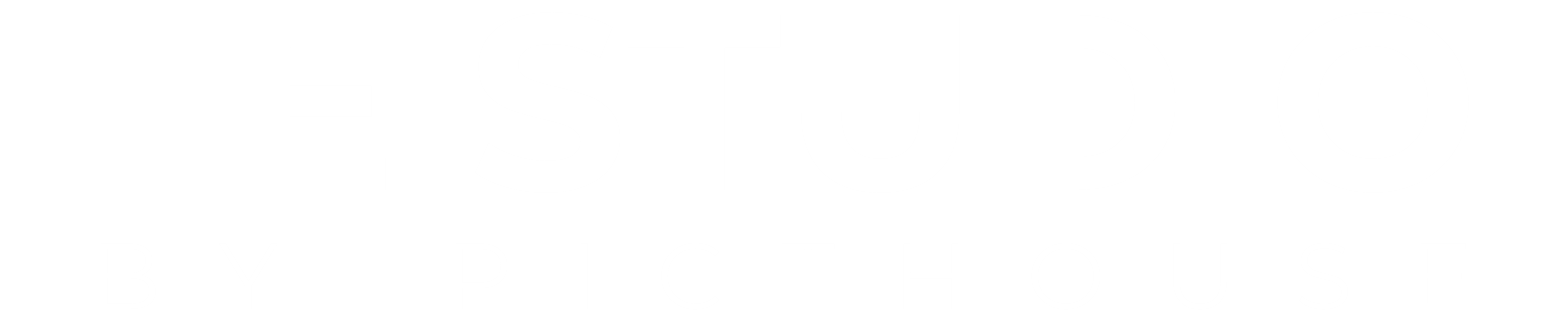 Logo pour site1